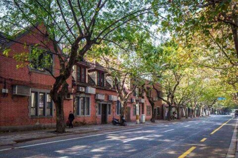 The Former French Concession (法租界) - a popular spot for expats to rent in Shanghai