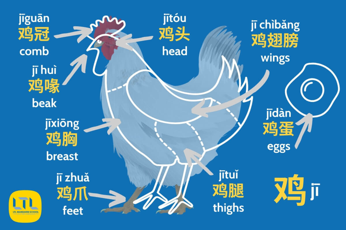 Chicken in Chinese - Parts of the Chicken