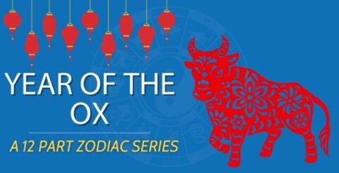 Chinese Zodiacs || Year of the Ox 🐂 (A Complete Guide) Thumbnail