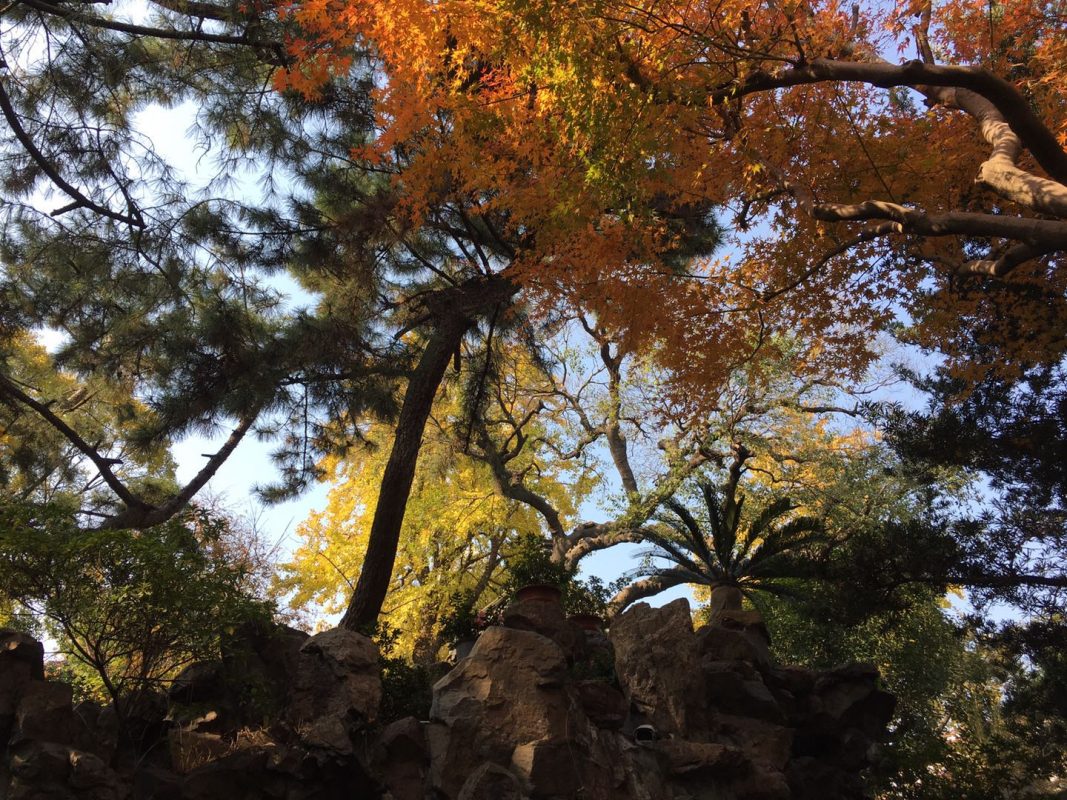 Yu Garden - The garden is worth visiting throughout the year