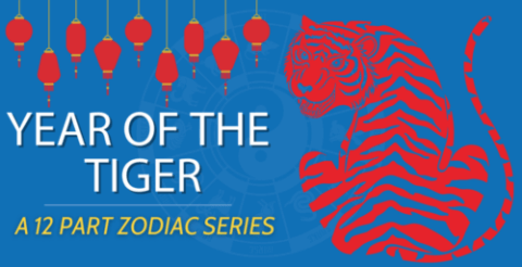 Chinese Zodiacs || Year of the Tiger (A Complete Guide) Thumbnail